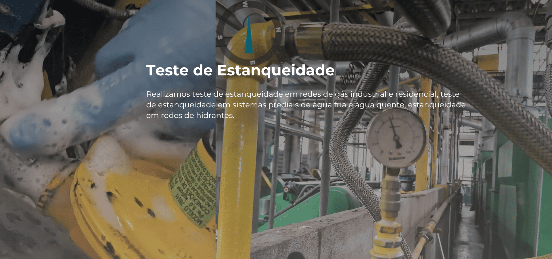 teste